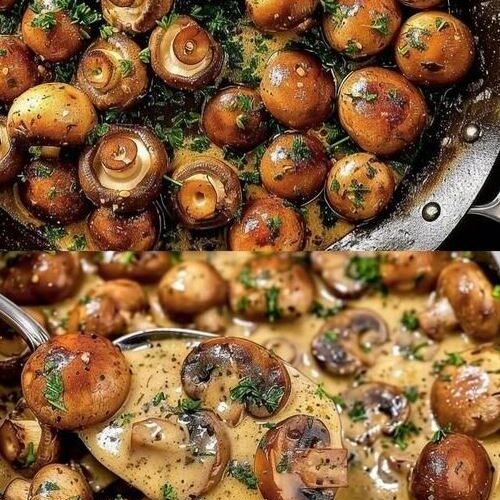 🍄🧄 Knoblauch-Champignons in cremiger Rahmsoße – Schnell, würzig & sooo gut!