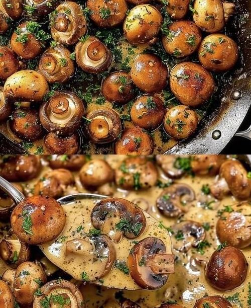 🍄🧄 Knoblauch-Champignons in cremiger Rahmsoße – Schnell, würzig & sooo gut!