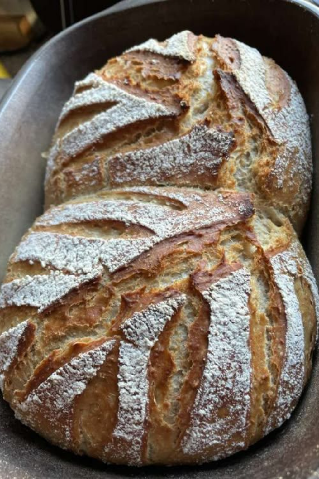 Friss dich dumm Brot mit Haferflocken